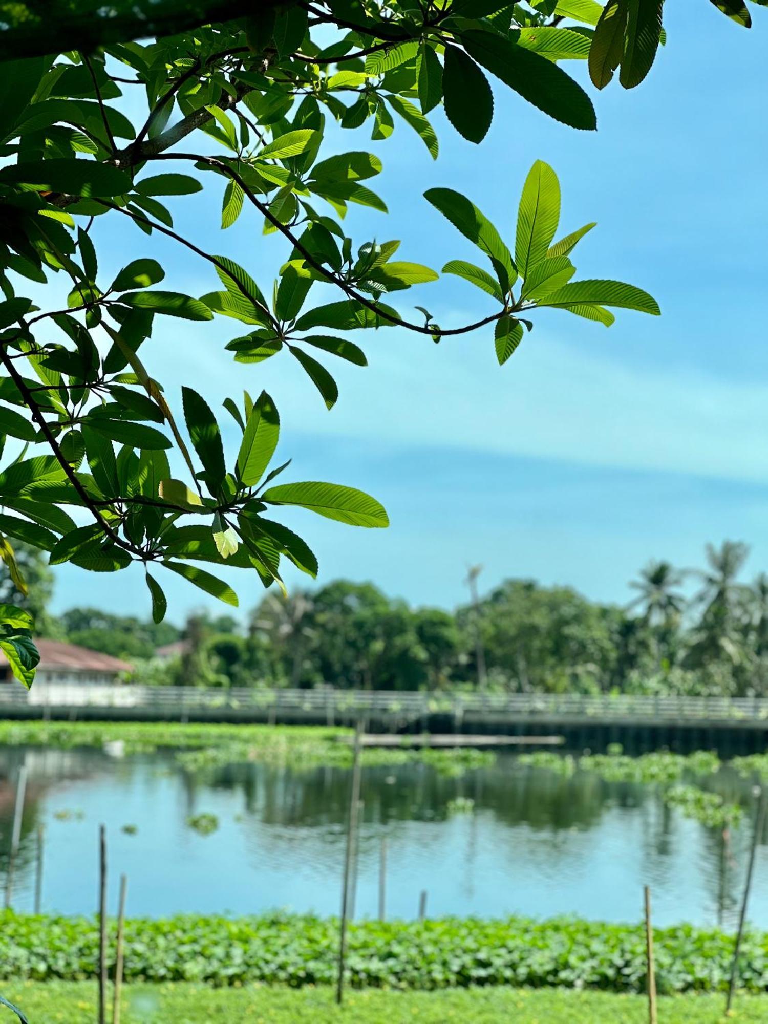 Mrt Riverside Sampran มิสเตอร์ที โฮมสเตย์-ช้องนาง Εξωτερικό φωτογραφία